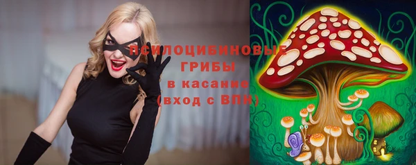 крисы Беломорск