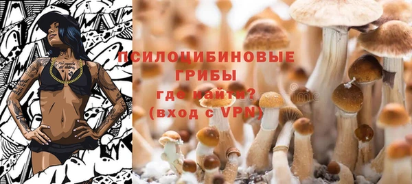 крисы Беломорск