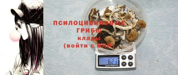 бошки Богородск