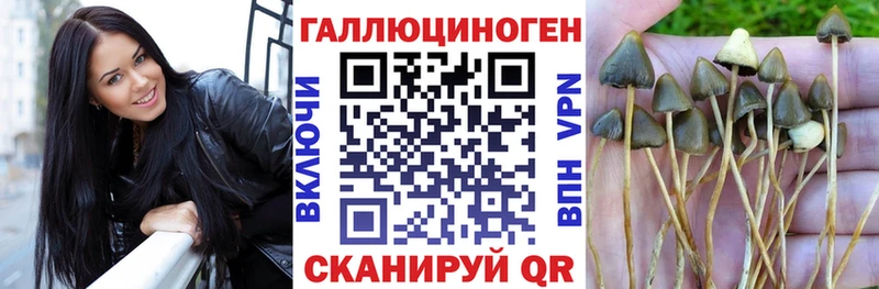 Галлюциногенные грибы Magic Shrooms  дарк нет какой сайт  мега   Набережные Челны  дарнет шоп 